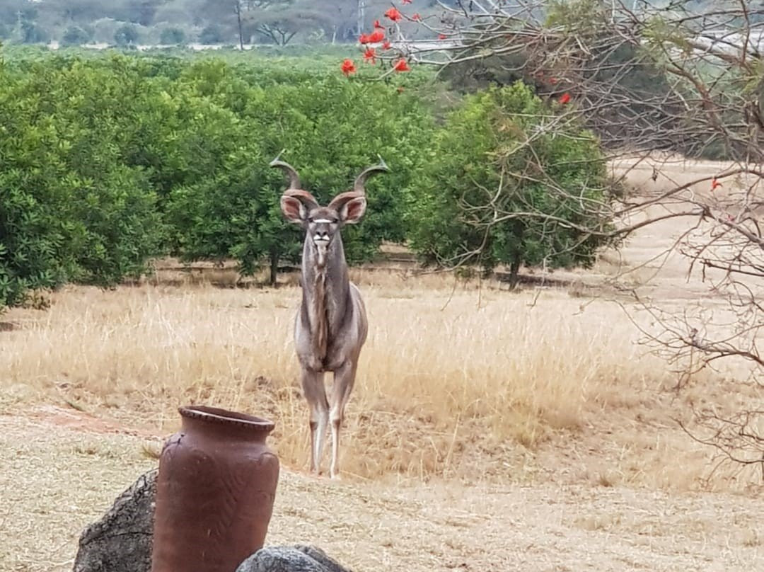 Wokini Guest House主图