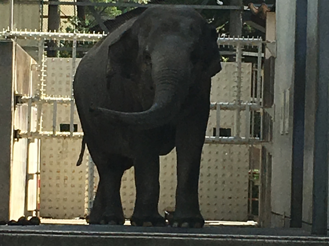 Nagano Chausuyama Zoo景点图片