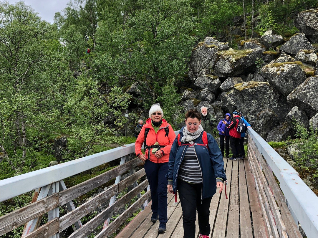 Visit Narvik Tourist Information景点图片