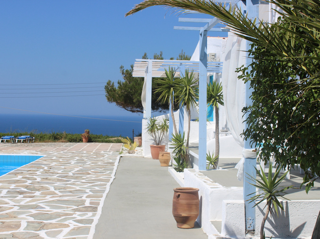 Bellevue Village主图