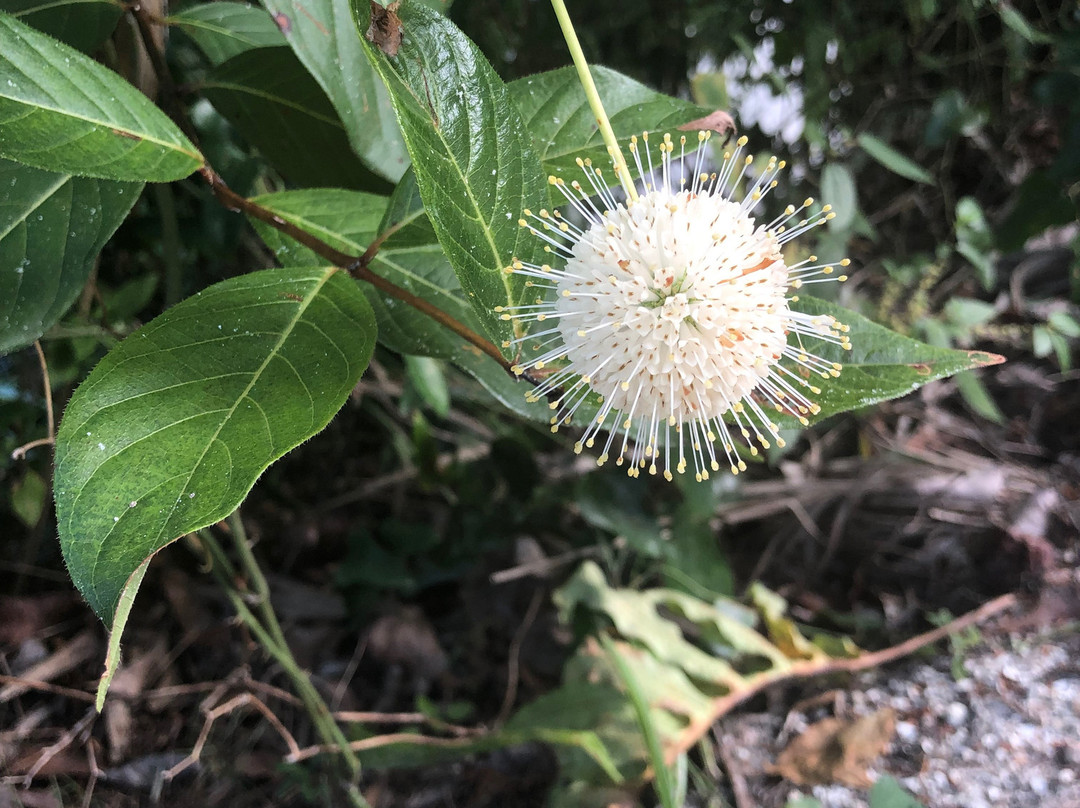 Riverbend Park-朱庇特必去景点