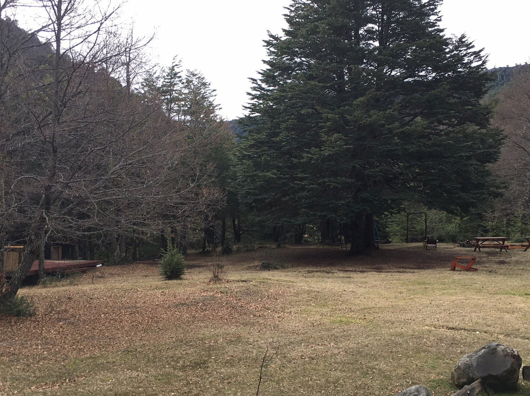 Posada del Rio主图