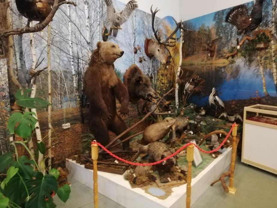 Shchyolkovo Museum of History and Local Lore-Shchyolkovo必去景点