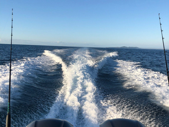 Fish Noosa-努萨维尔必去景点