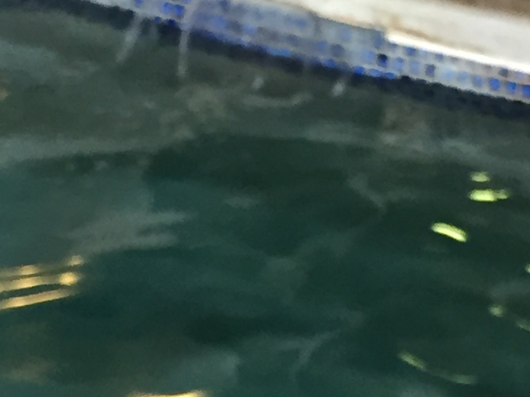 Holiday Inn Express & Suites Greenfield By IHG主图