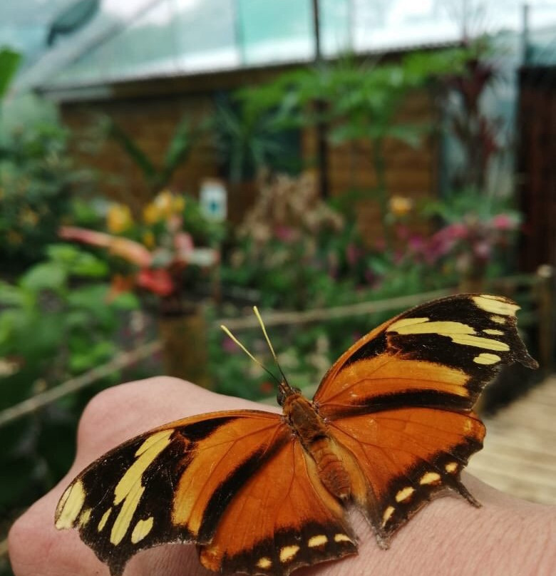 Jardin Y Mariposario Peniel景点图片