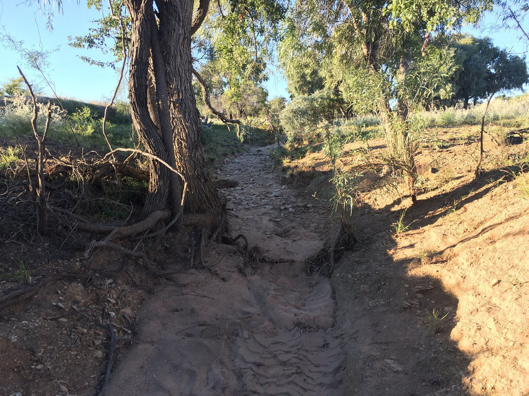 Richmond Fossil Hunting Sites-Richmond必去景点