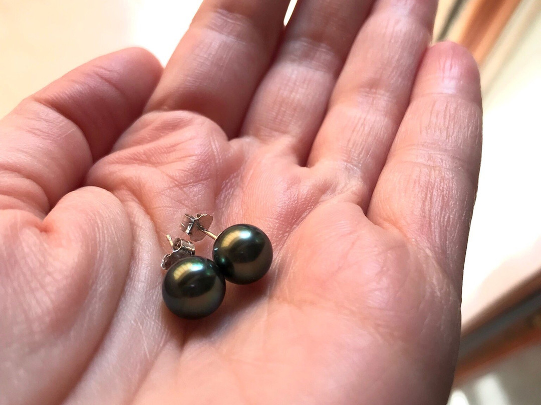 Pearlescence Tahitian Pearls and Mabe-莫雷阿岛必去景点