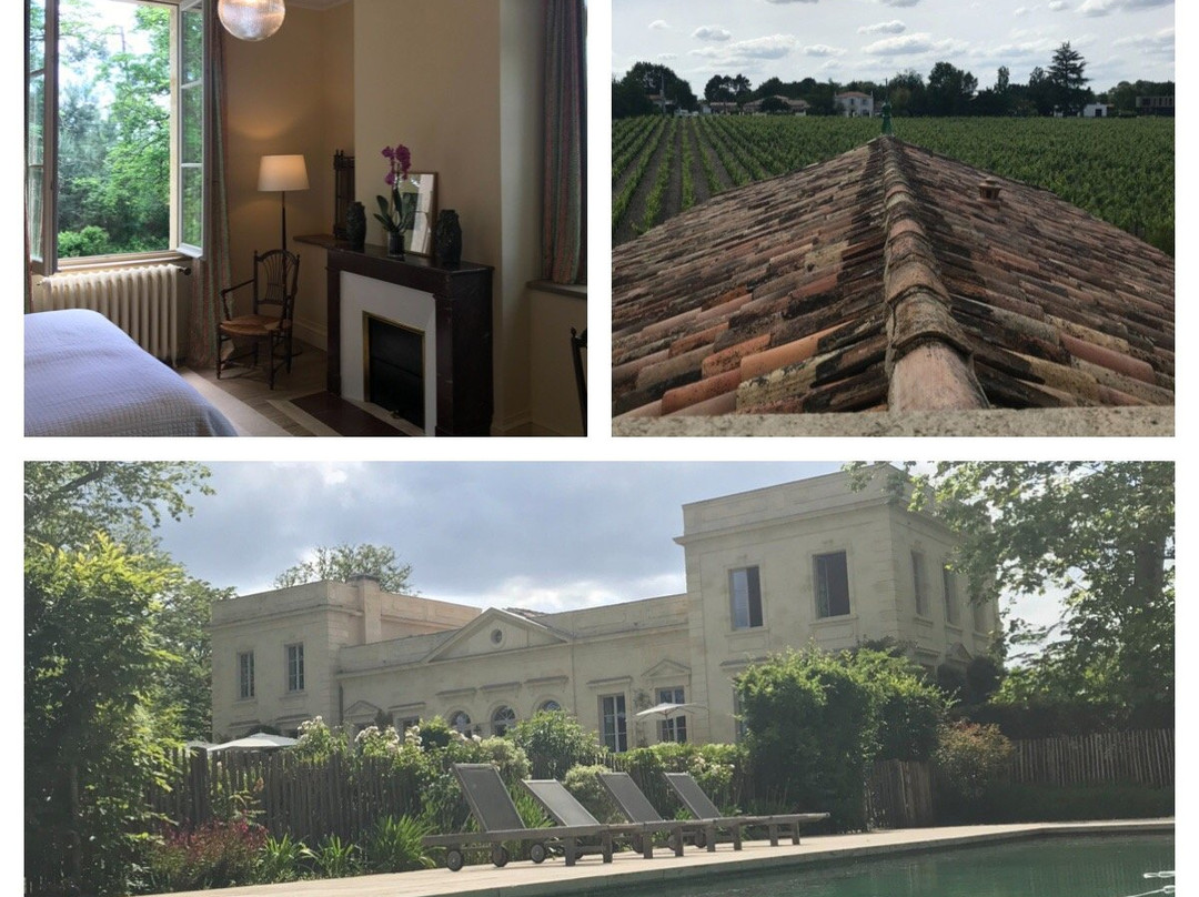 Château Le Pape主图