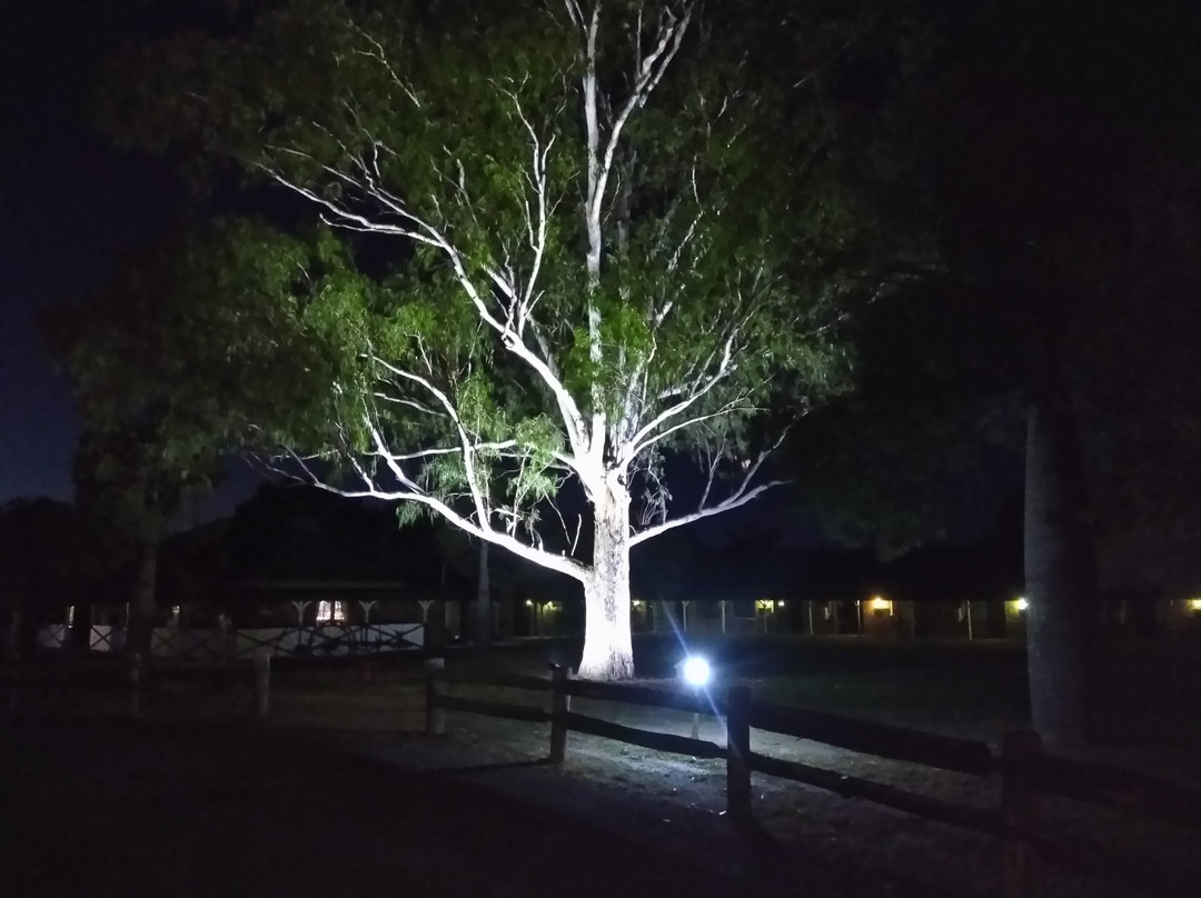 Overlander Homestead Motel and Restaurant主图