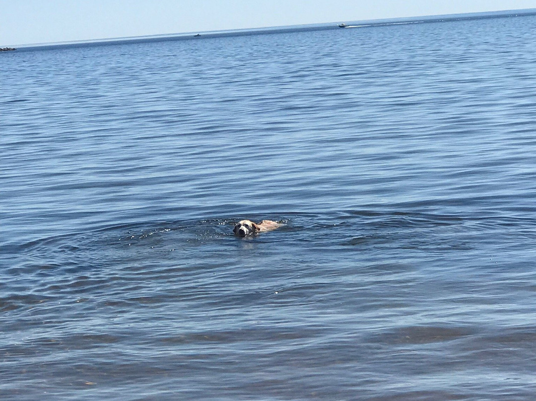 Birchmont Motel主图