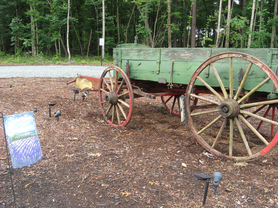 Lavender Oaks Farm-教堂山必去景点