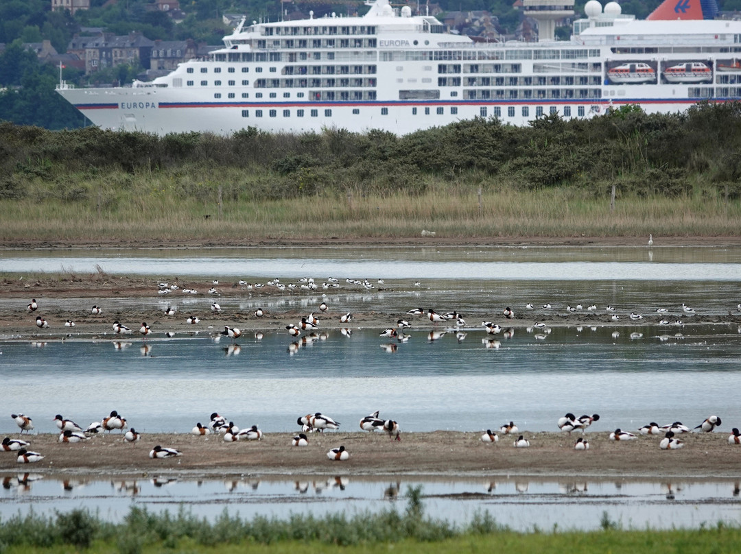 Reserve Naturelle Nationale de l'Estuaire de la Seine景点图片