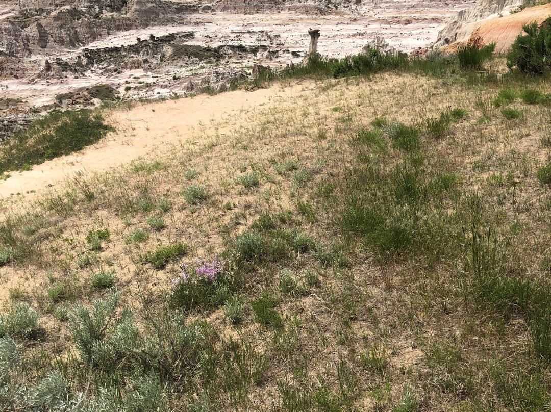 Hells Half Acre-卡斯珀必去景点