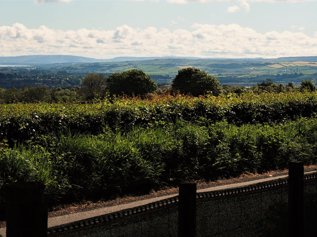 Groarty House & Manor B&B主图