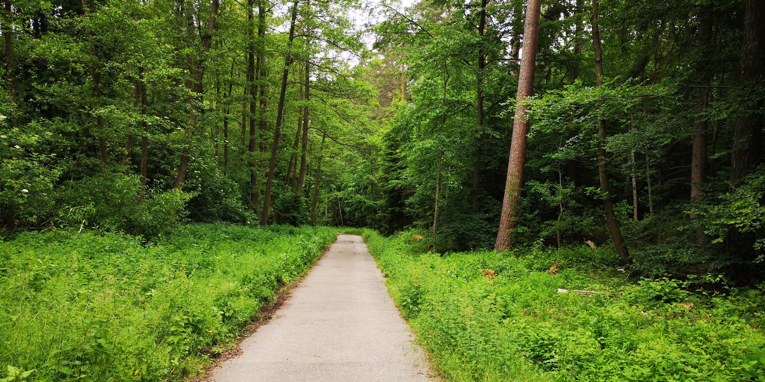 Hotel Restaurant Herrmannsee-官方