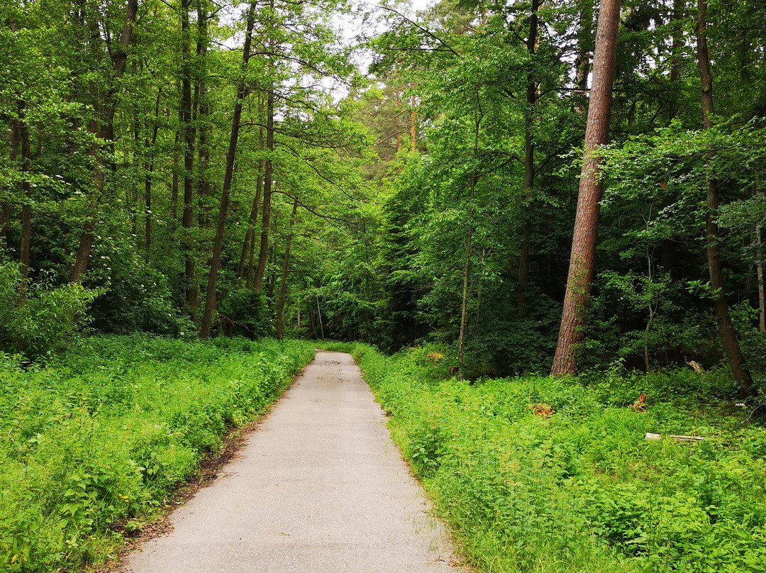 Hotel Restaurant Herrmannsee主图