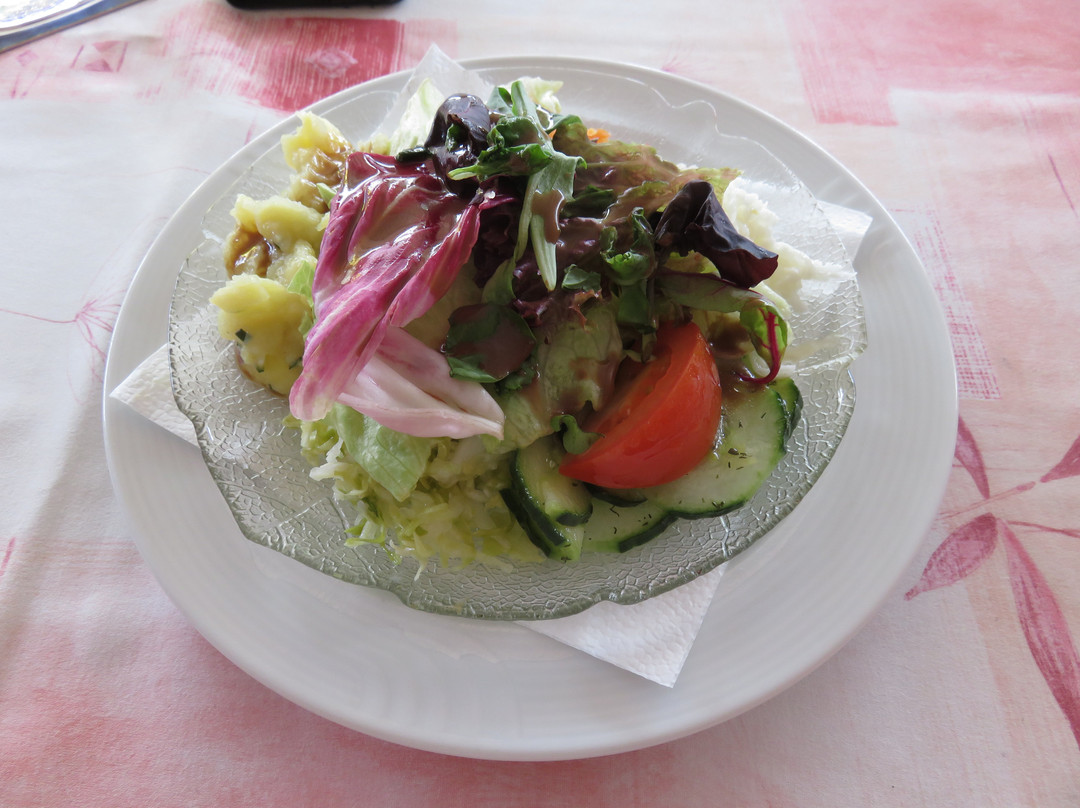 Hotel-Gasthof Goldener Lowe主图