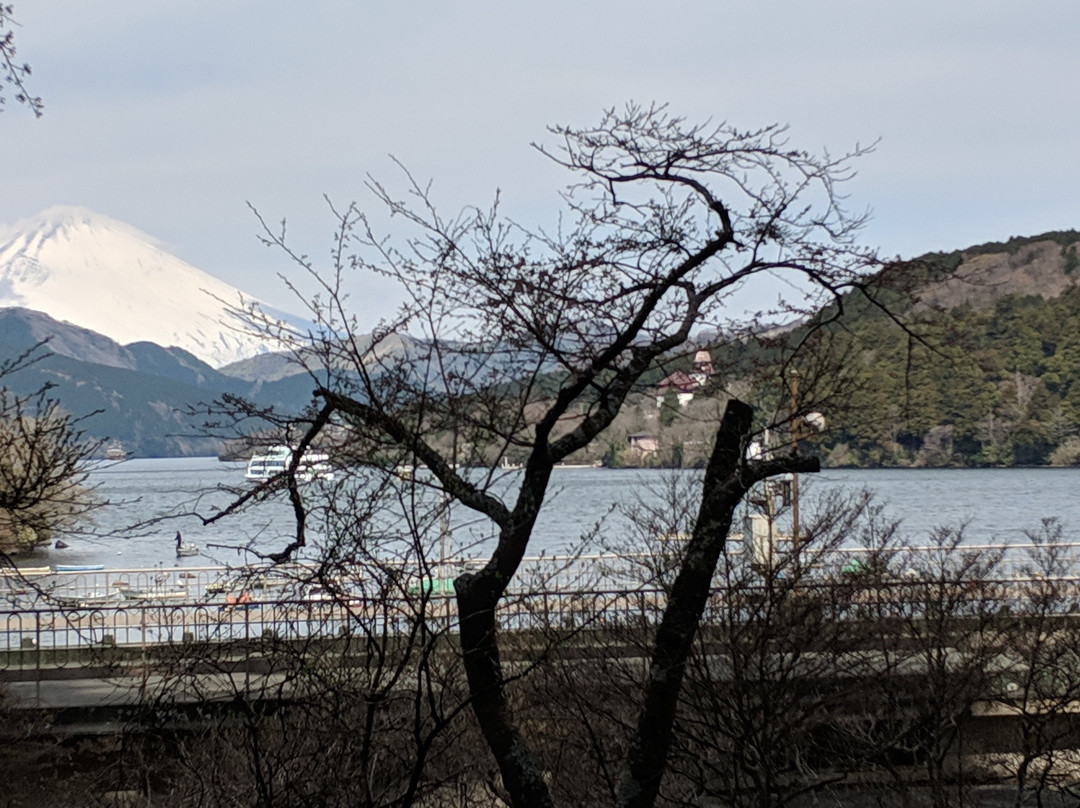 Cedar Trees of Hakone Old Road-箱根町必去景点
