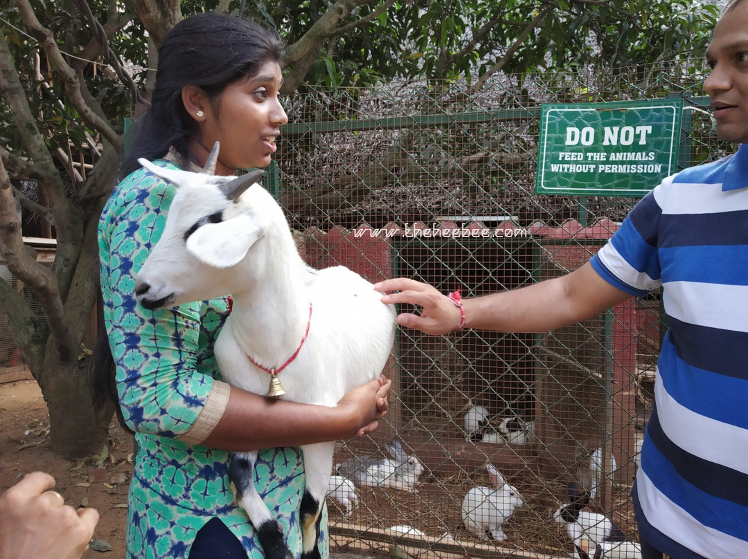 Prani, The Pet Sanctuary-班加罗尔必去景点