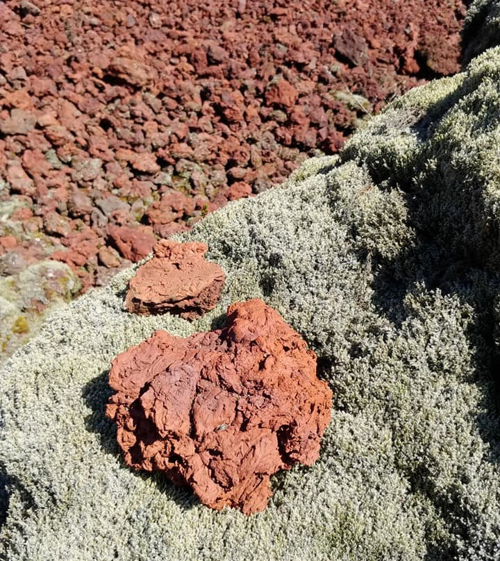 Heidmörk Nature Reserve-雷克雅未克必去景点