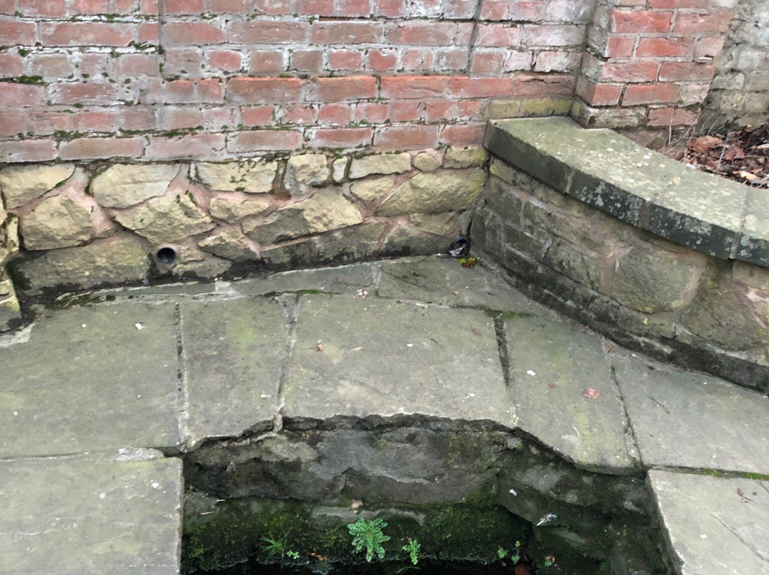 Blackforby Spring-Swadlincote必去景点