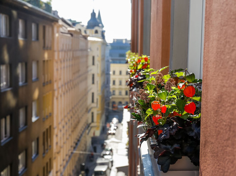 达斯蒂罗尔精品酒店主图
