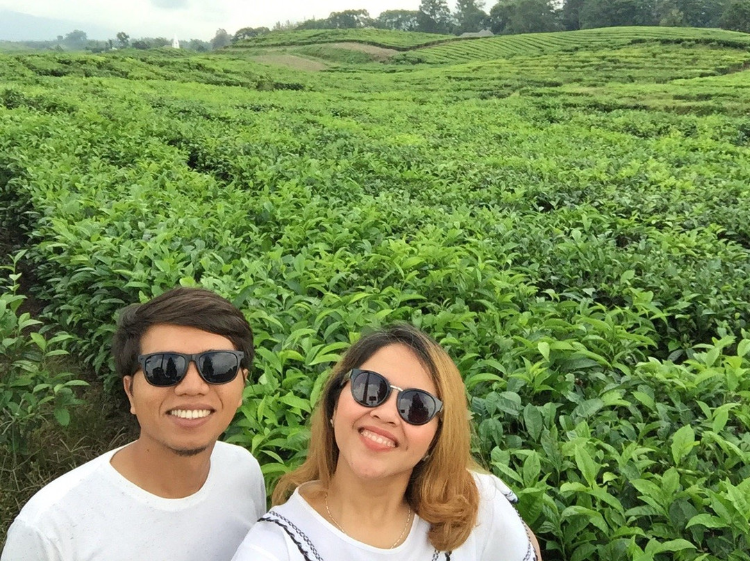 Sidamanik Tea Farm-Simalungun必去景点