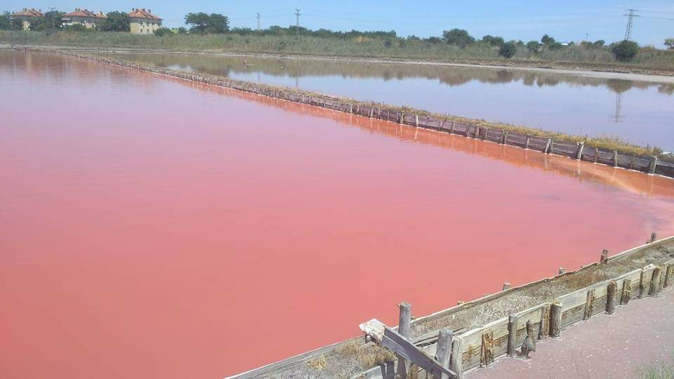 Lake Atanasovsko景点图片