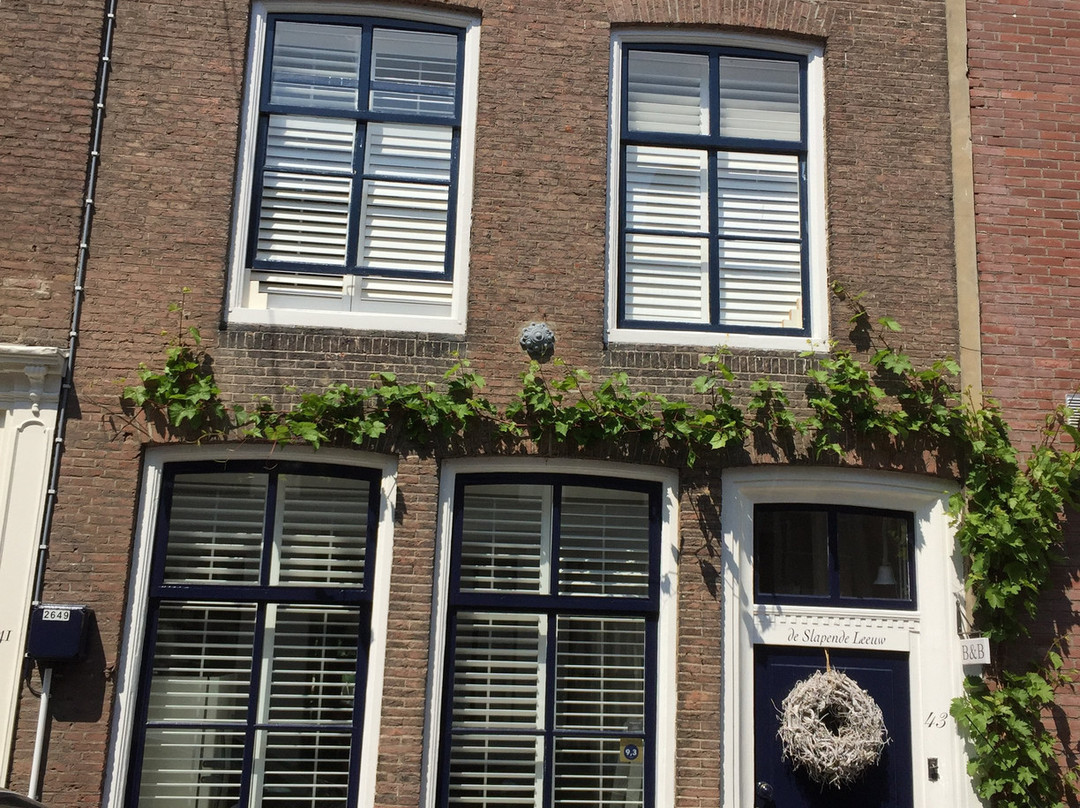 De Slapende Leeuw主图