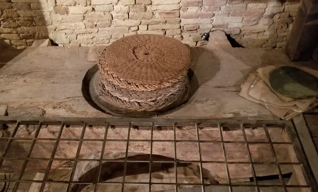 Museo dell’Olio di Cantinarte景点图片