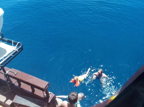 Dolphin Cruises-雷斯蒙必去景点