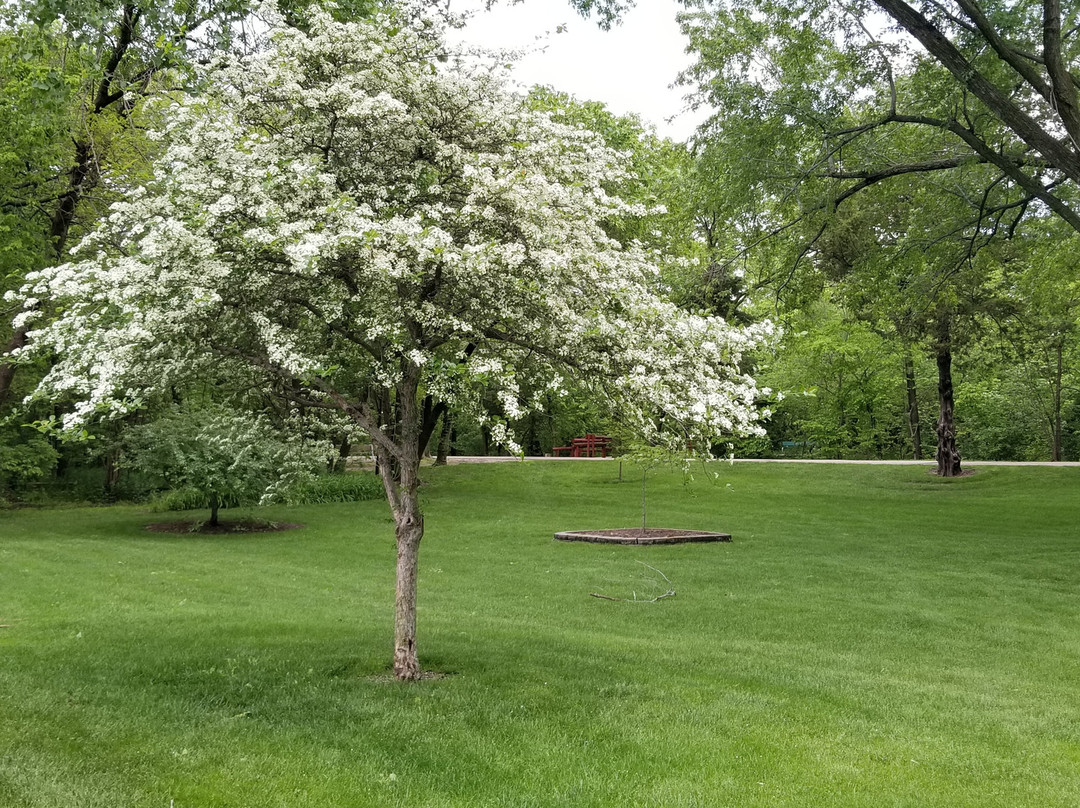 Hall County Park-格兰德岛必去景点