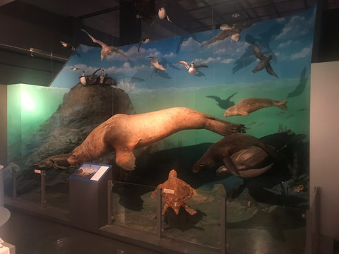 Rumoi City Umi no Furusatokan-留萌市必去景点