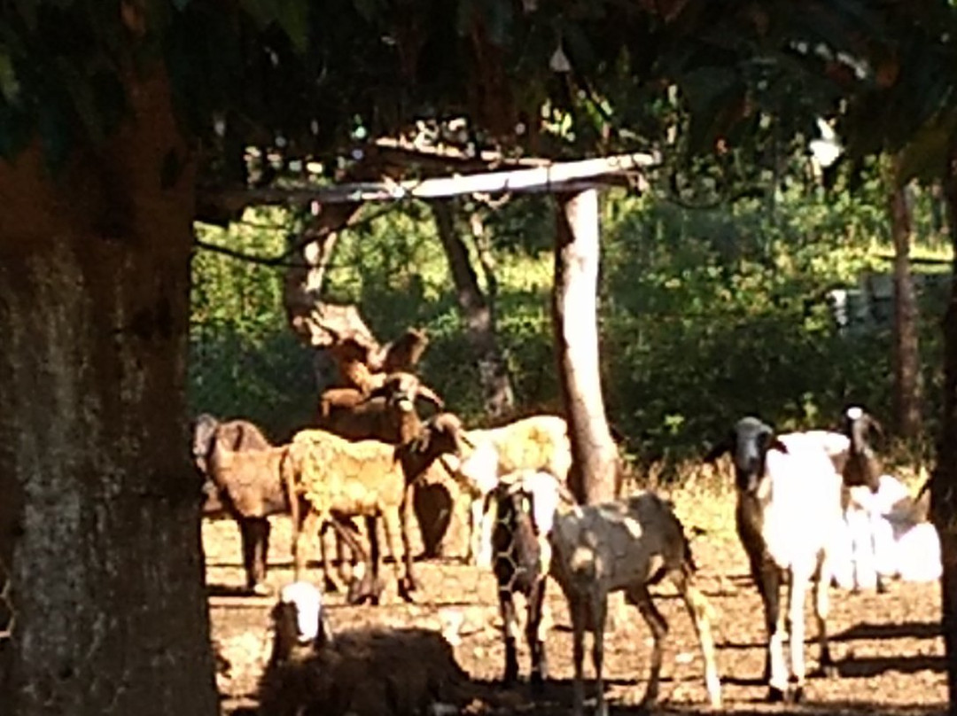 Estancia 3J Hotel Fazenda主图