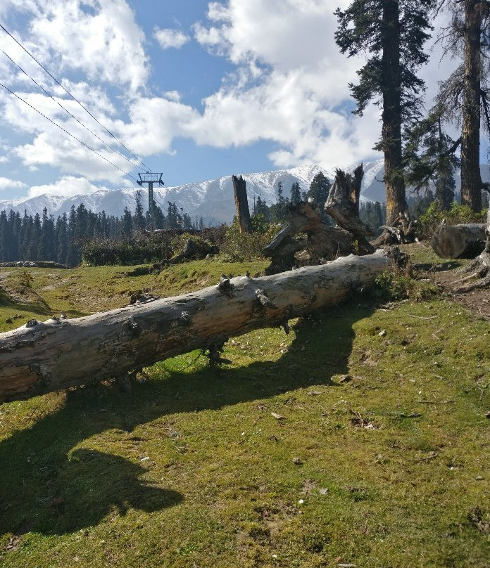 Gulmarg Meadows主图