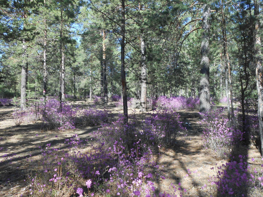 Culture and Leisure Park of Railroad Workers-赤塔必去景点