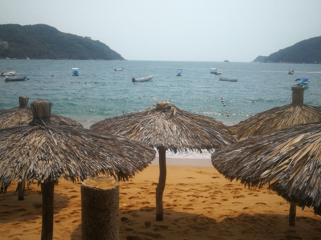 La Orquidea Bonfil主图