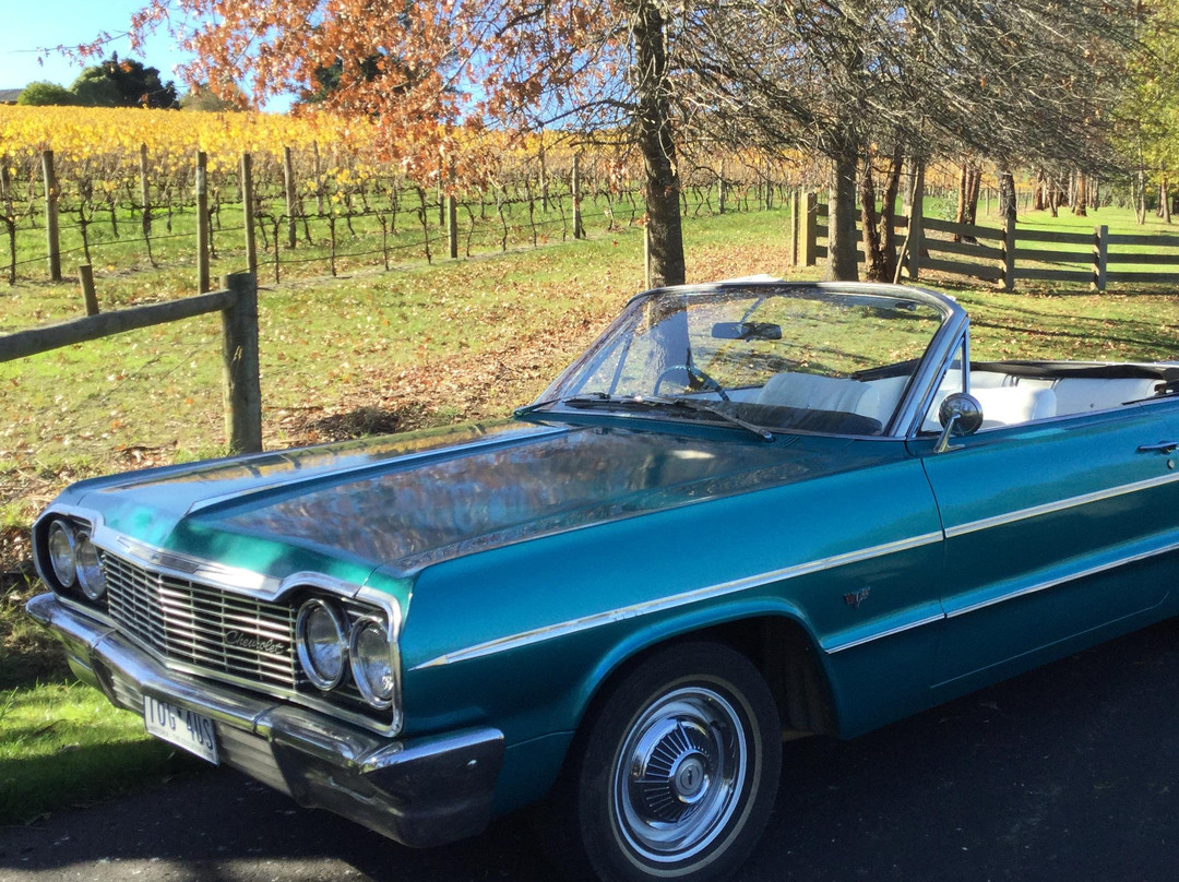 Stella Tours-希尔斯维尔必去景点