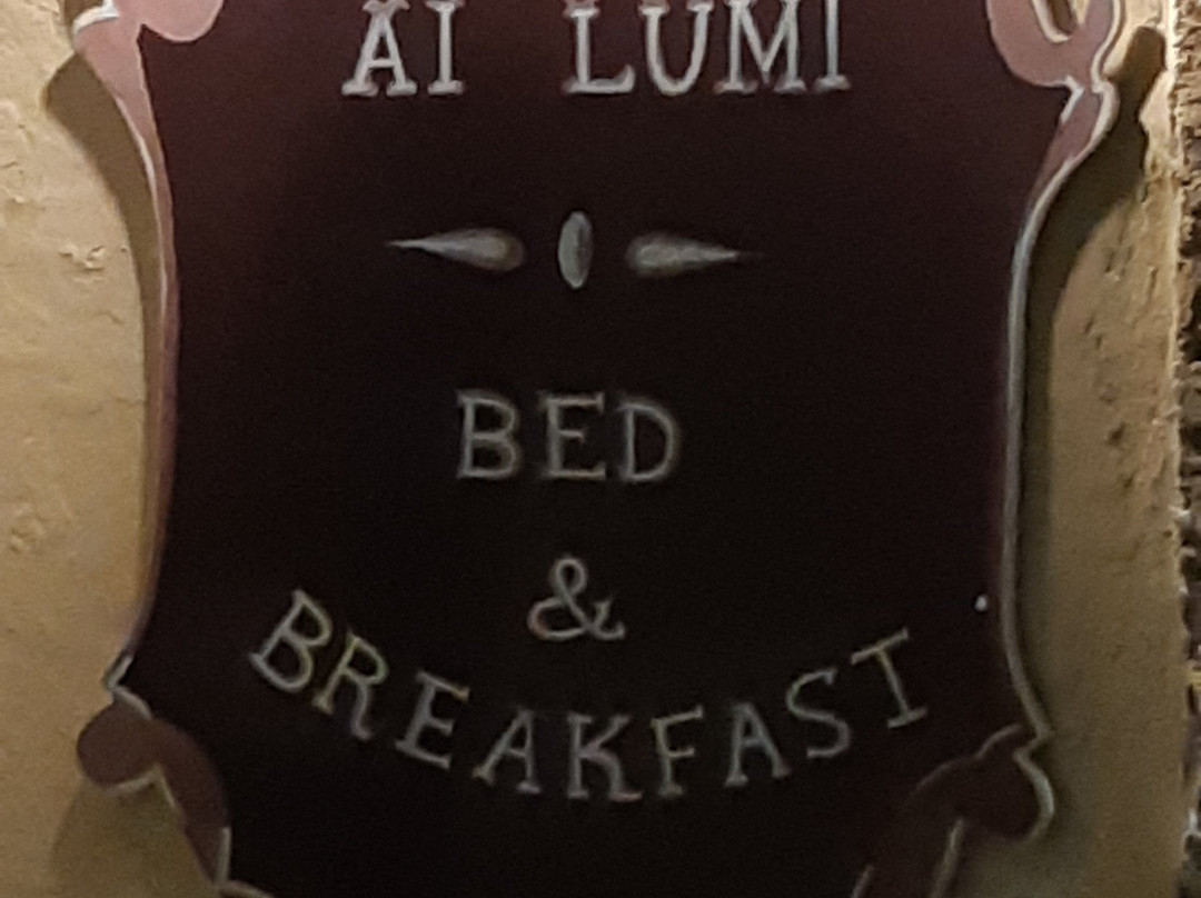 Ai Lumi主图
