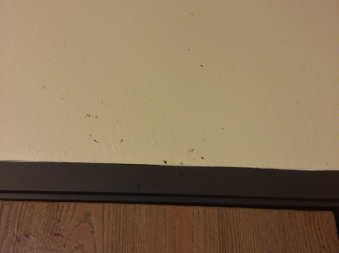 Super 8 by Wyndham Melrose主图