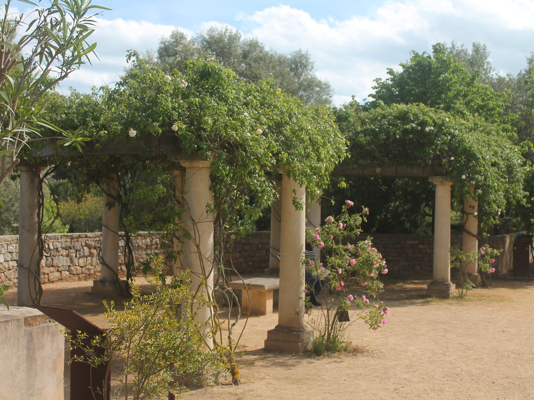 Jardin Antique Méditérranéen景点图片