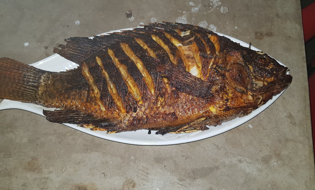 Matvilla Beach Lodge and Campsite主图