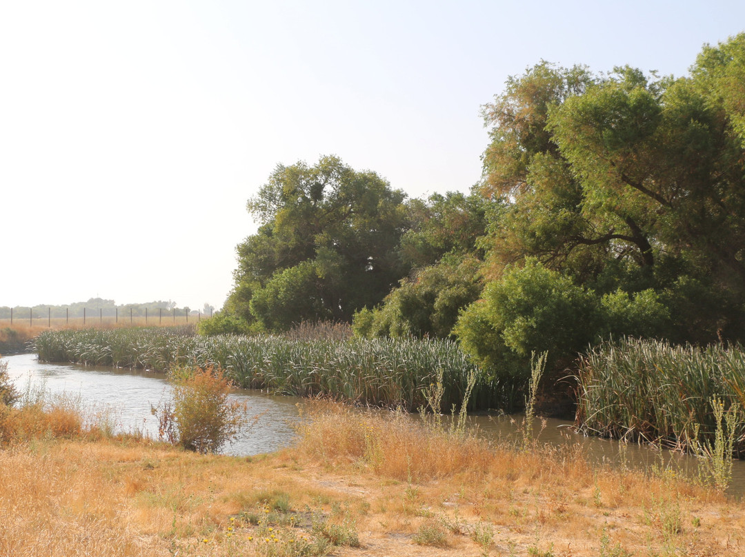 圣路易斯国家野生动物保护区-洛斯巴诺斯必去景点