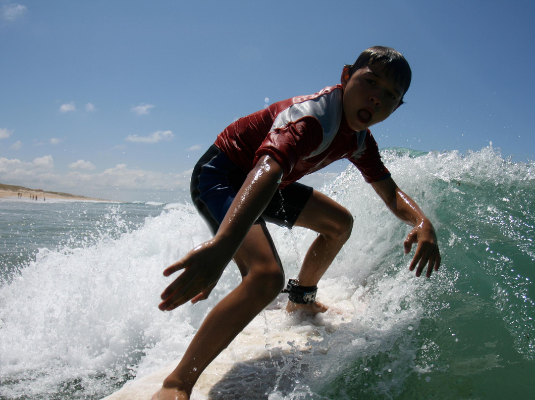 One Palm école de surf/surfshop景点图片