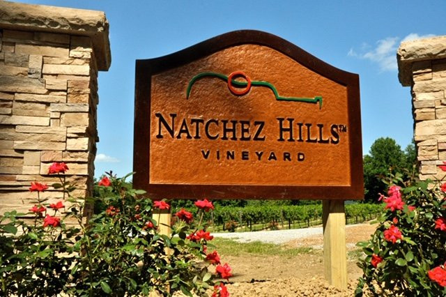 Natchez Hills Vineyard-Hampshire必去景点