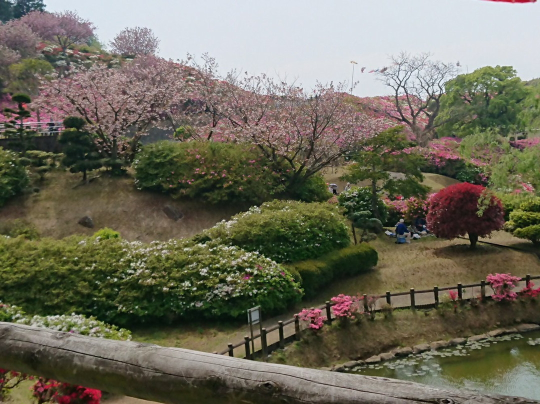 Nagushiyama Park景点图片