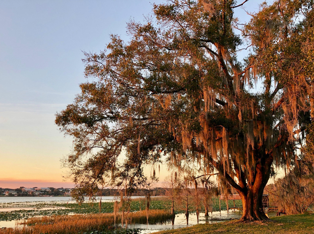 Lake Hollingsworth-莱克兰必去景点