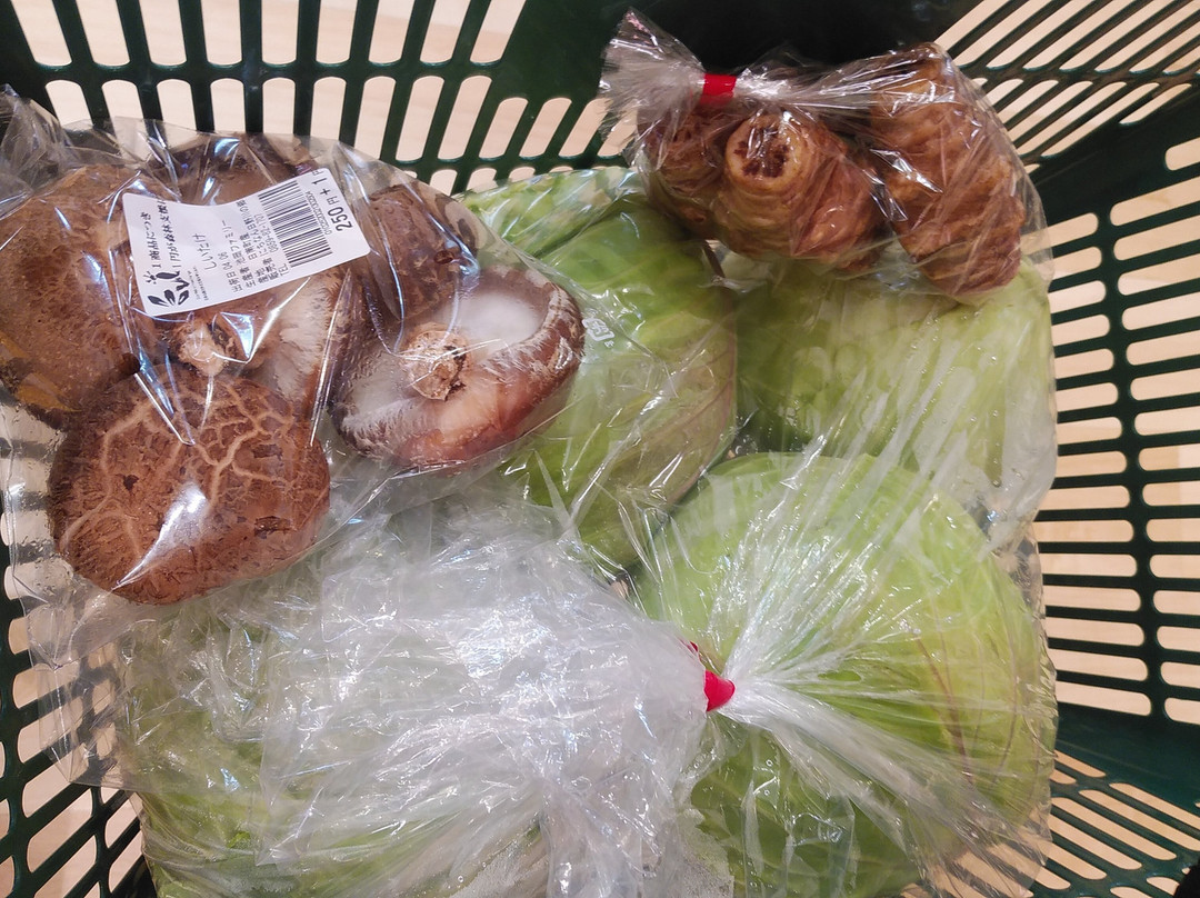 Michi no Eki Nichinan Hinogawa no Sato-日南町必去景点