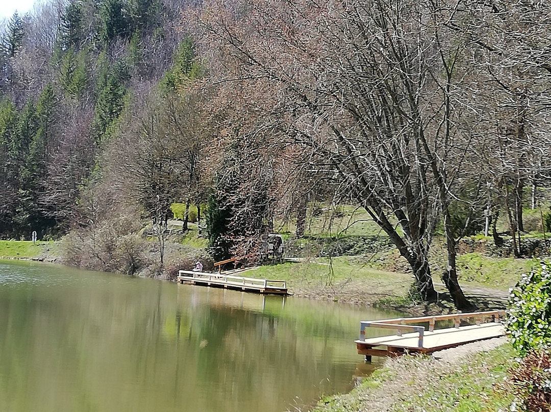 Camping de Coupiac la Mas Naut